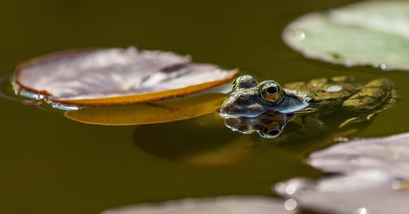 Week-end nature près de chez soi : 12 idées d'évasion verte